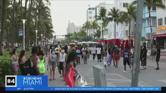 Miami Beach commission agrees to state of emergency next Spring Break