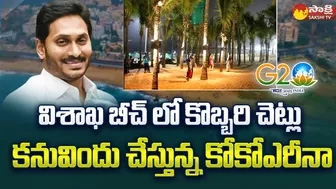 Coco Arena in Vizag Beach | Coconut Trees in Visakhapatnam Beach | G 20 Summit |@SakshiTV​