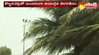 Coco Arena in Vizag Beach | Coconut Trees in Visakhapatnam Beach | G 20 Summit |@SakshiTV​