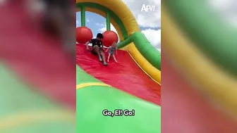 Avada Kedavra!!! ???? ???? #fail #funny #shorts #comedy #afv #funnykids