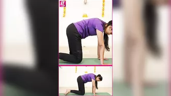 Cat Pose-ல இருந்தவாறு செய்யும் வியாகாராசணம்...!-Yoga & Naturopathy DR. Janani Subburaj