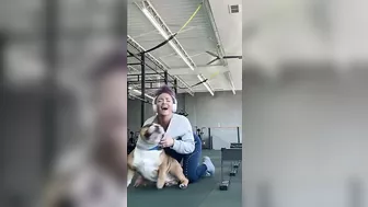 Adorable Bulldog Helps Owner Workout At Gym