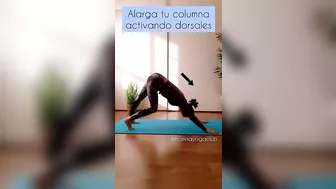 ????COLUMNA FLEXIBLE Y FUERTE????