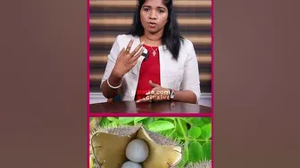 PCOD இருந்தா கழற்சிக்காய் சாப்பிடணுமா? - Siddha Dr. B Yoga Vidya | PCOD #healthcaretips