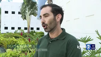 Kahala Beach littered with trash after heavy rainstorm