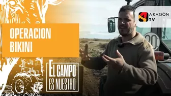 Los campos de Fernando comienzan su particular 'Operación Bikini'