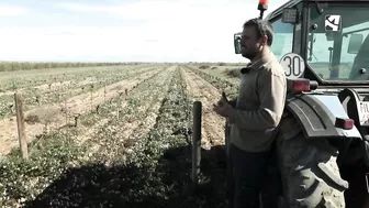 Los campos de Fernando comienzan su particular 'Operación Bikini'