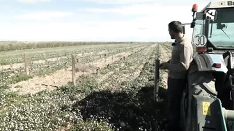 Los campos de Fernando comienzan su particular 'Operación Bikini'