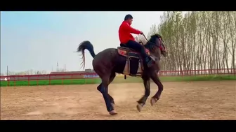 Horse training to ride with flexible situation - HanaKo Horse®