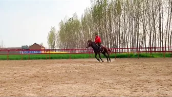 Horse training to ride with flexible situation - HanaKo Horse®