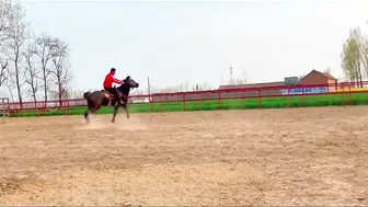 Horse training to ride with flexible situation - HanaKo Horse®