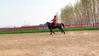 Horse training to ride with flexible situation - HanaKo Horse®