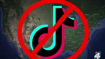 TikTok, other popular apps banned at Florida’s public universities