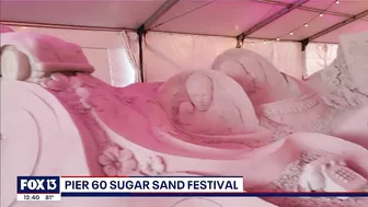 Pier 60 Sugar Sand Festival on Clearwater Beach starts Friday