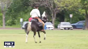 Man plans to travel from Austin to Seattle on horseback | FOX 7 Austin