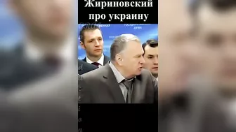 Жириновский про украину