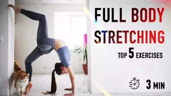 Top 5 Full Body Stretching Exercises - Improve Flexibility and Prevent Injury