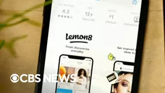 TikTok sister app Lemon8 surges in popularity