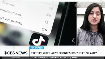 TikTok sister app Lemon8 surges in popularity