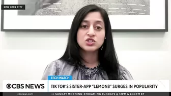 TikTok sister app Lemon8 surges in popularity