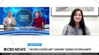 TikTok sister app Lemon8 surges in popularity