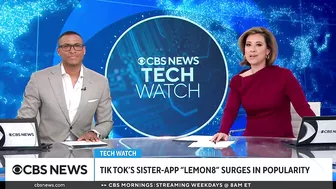 TikTok sister app Lemon8 surges in popularity