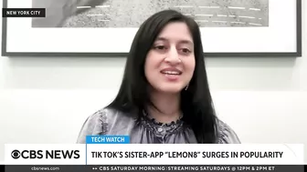 TikTok sister app Lemon8 surges in popularity