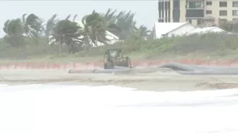 Projects underway to prevent future beach erosion on the Treasure Coast