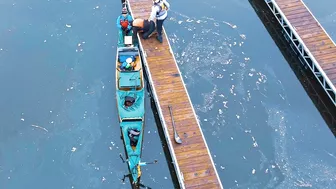 Team of paddlers try to set world record for traveling down Mississippi River