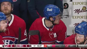 Brendan Gallagher Goal Overturned After Controversial Goalie Interference Challenge