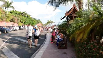 Today in Siam Park, Tenerife. Travel blog from Spain 4K