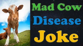 Funny Joke: Mad Cow Disease