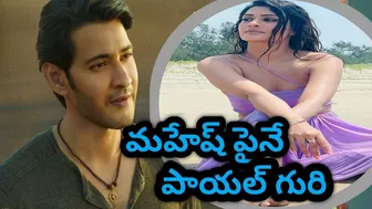 #MaheshBabu Mahesh babu ni Target chesina Payal Ray Rajput |follow Celebrity|