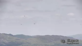 F-15C "Grim Reapers",  Low Level Mach-Loop