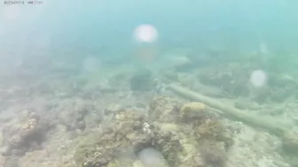 Ausek S9R Action Cam Shallow Underwater Test in Aguila Beach Resort