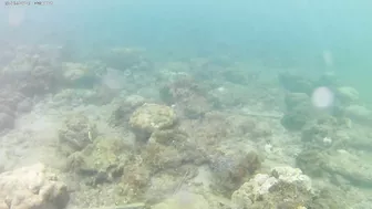 Ausek S9R Action Cam Shallow Underwater Test in Aguila Beach Resort