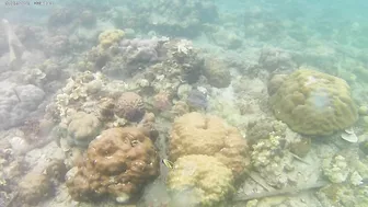 Ausek S9R Action Cam Shallow Underwater Test in Aguila Beach Resort