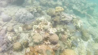 Ausek S9R Action Cam Shallow Underwater Test in Aguila Beach Resort