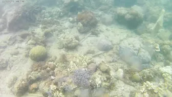 Ausek S9R Action Cam Shallow Underwater Test in Aguila Beach Resort