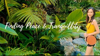 Finding Peace & Tranquillity ???? | Beautiful Garden B-Roll | Cinematic Travel Film