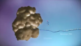 From DNA to protein - 3D