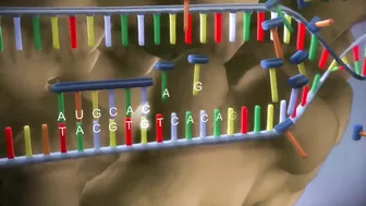 From DNA to protein - 3D