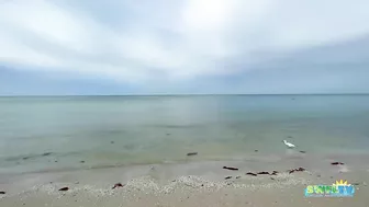 An Overcast Sunday Morning at the Beach in North Naples, FL 10.24.21