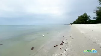 An Overcast Sunday Morning at the Beach in North Naples, FL 10.24.21