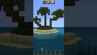 Minecraft bikini bottom