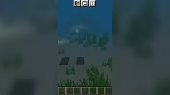 Minecraft bikini bottom