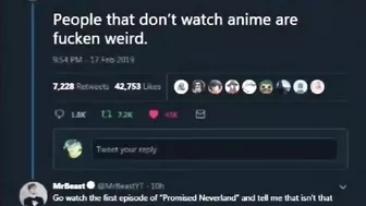 MRBEAST LOVES ANIME