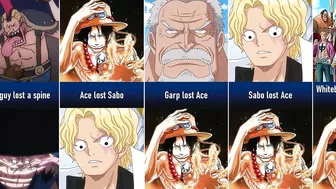 One Piece Characters Losses I Anime Senpai Comparisons