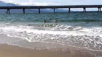 Very Nice Beach in Australia #beachinaustralia #onlyinaustralia