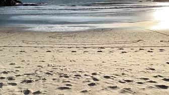 Michael's First Trip To The Beach